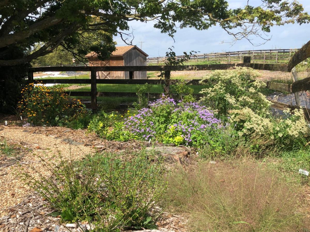 Cider House Bed And Breakfast Waynesboro Bagian luar foto